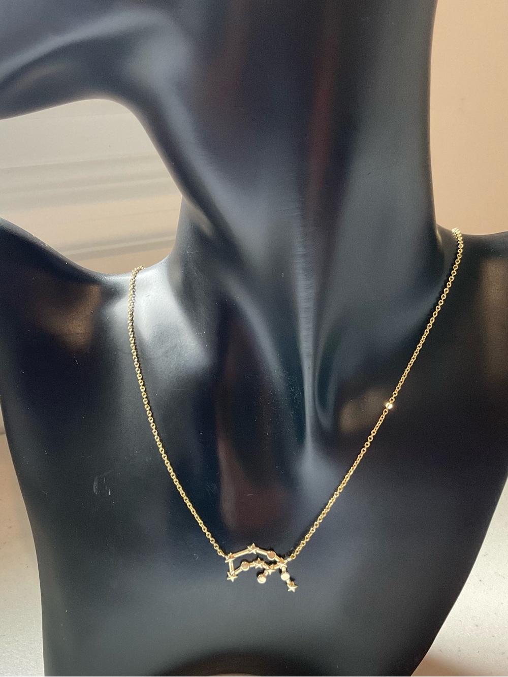 Rae Dunn Aquarius Zodiac Sign Necklace